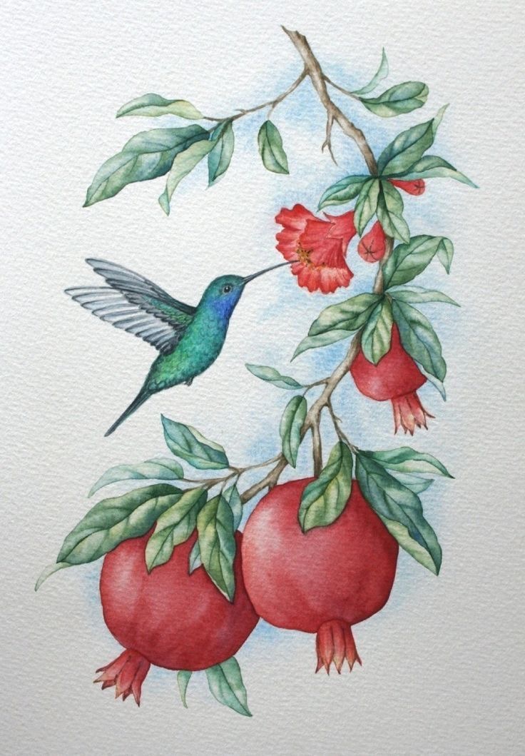 Nardugan Bayramı 